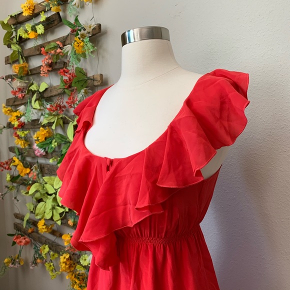 Velvet Heart Ruffle Dress - Picture 3 of 5